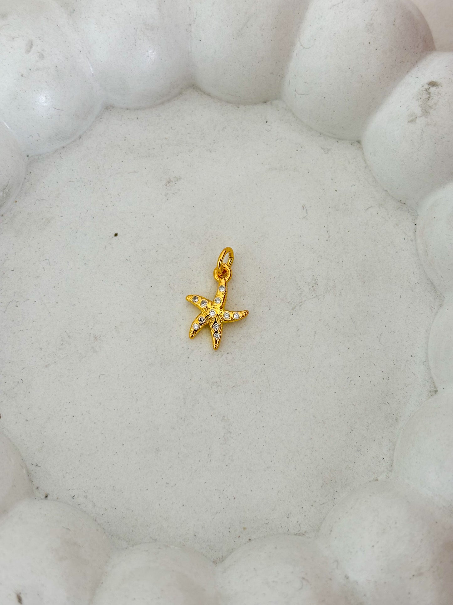 Estrella de mar circon