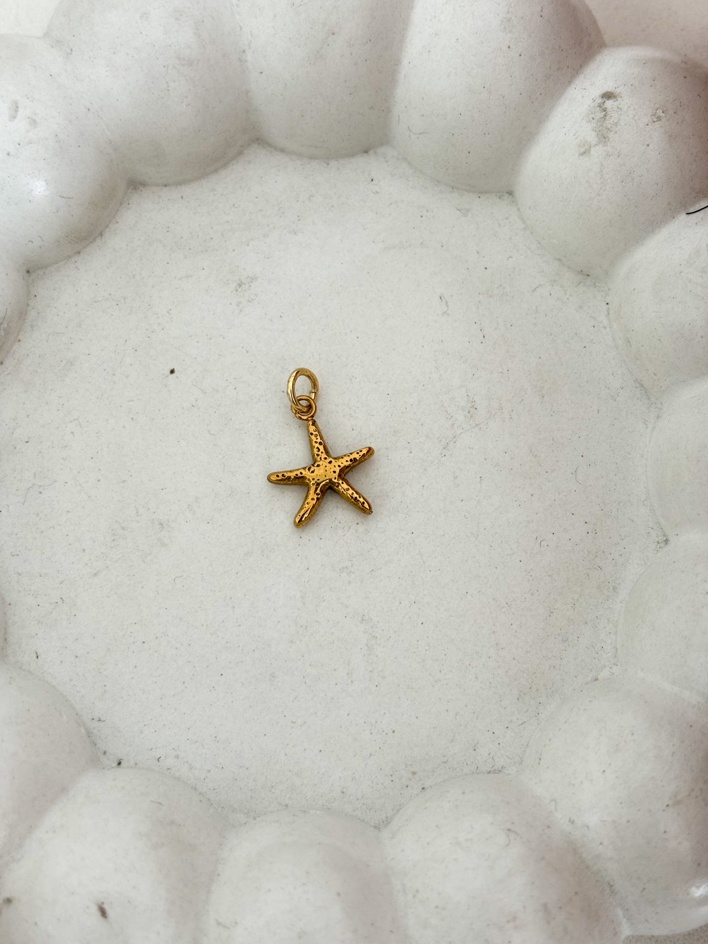 Estrella de mar mini