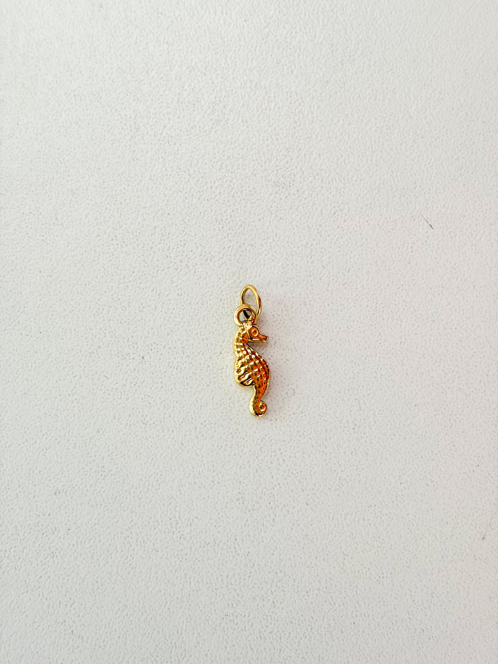 Caballito de mar mini