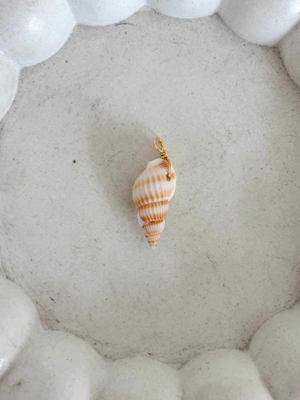 Caracol natural