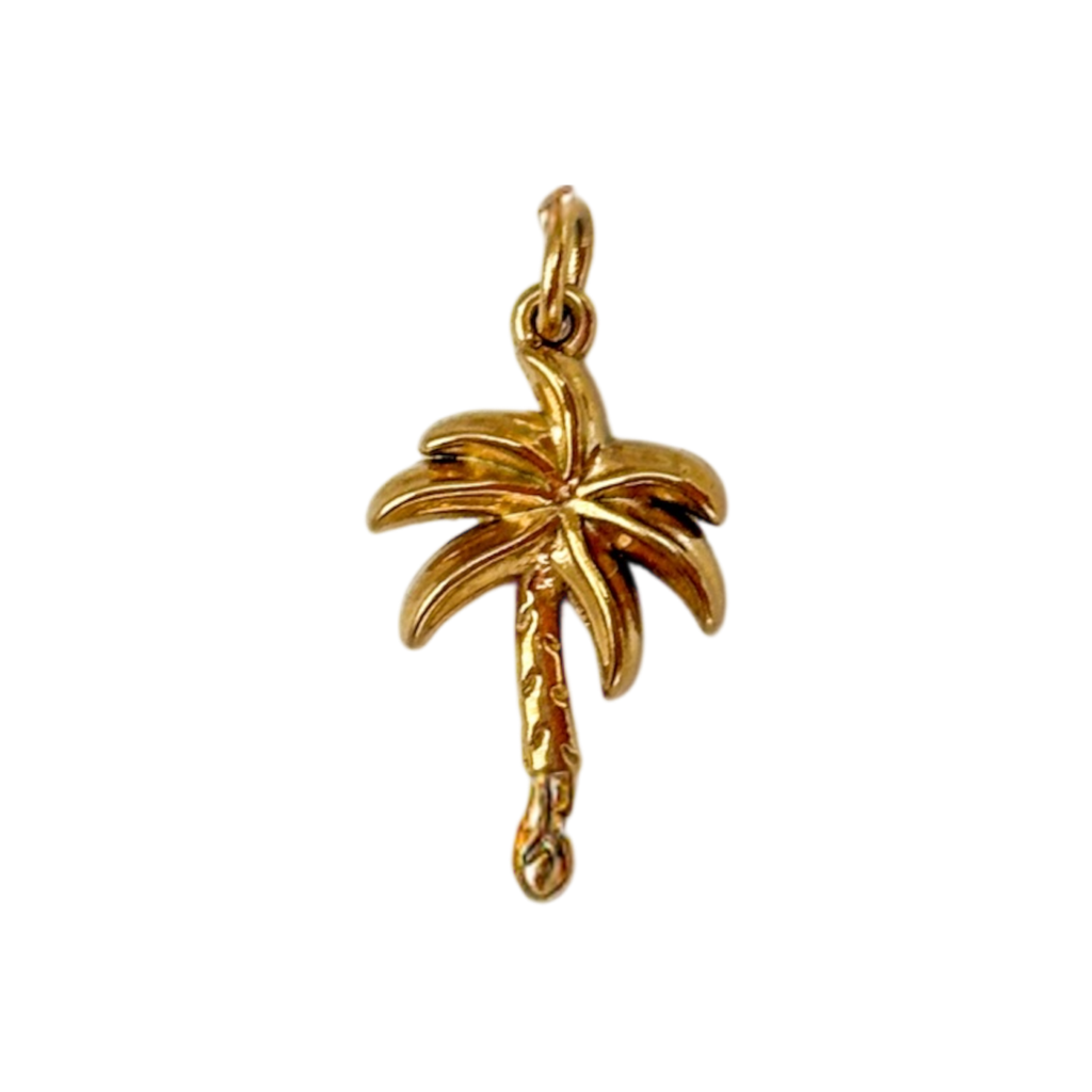 Palmera
