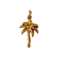 Palmera