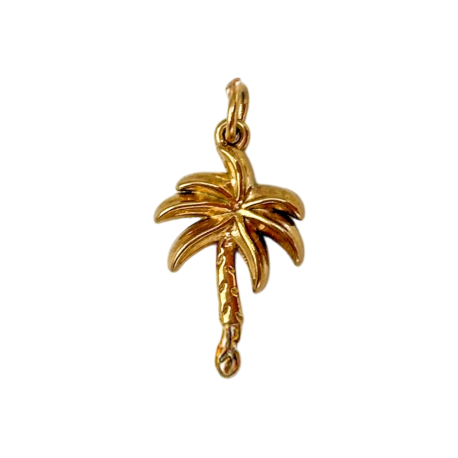 Palmera