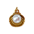 Ostra perlada