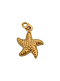 Estrella de mar olas