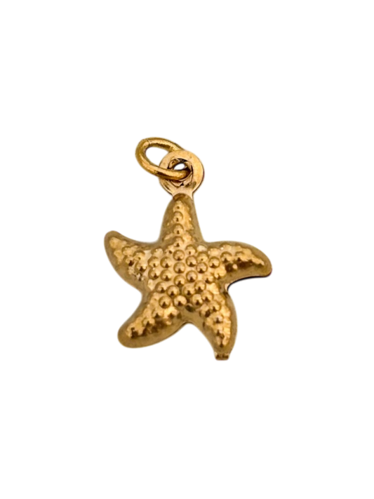 Estrella de mar olas