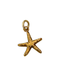 Estrella de mar mini