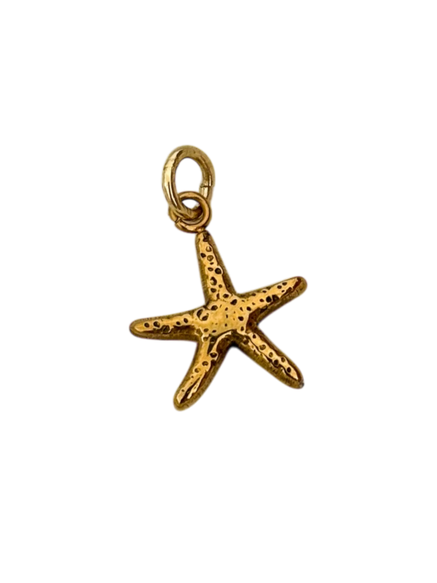 Estrella de mar mini