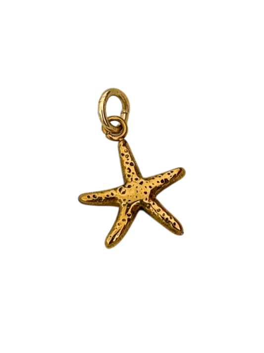 Estrella de mar mini