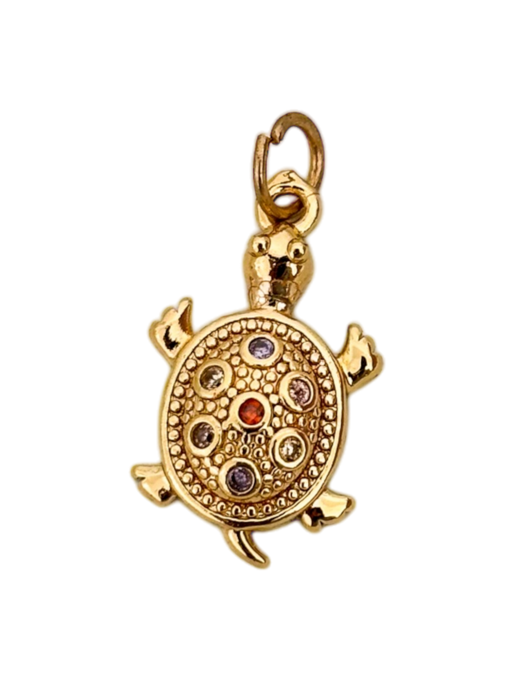 Tortuga circon