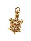 Tortuga circon