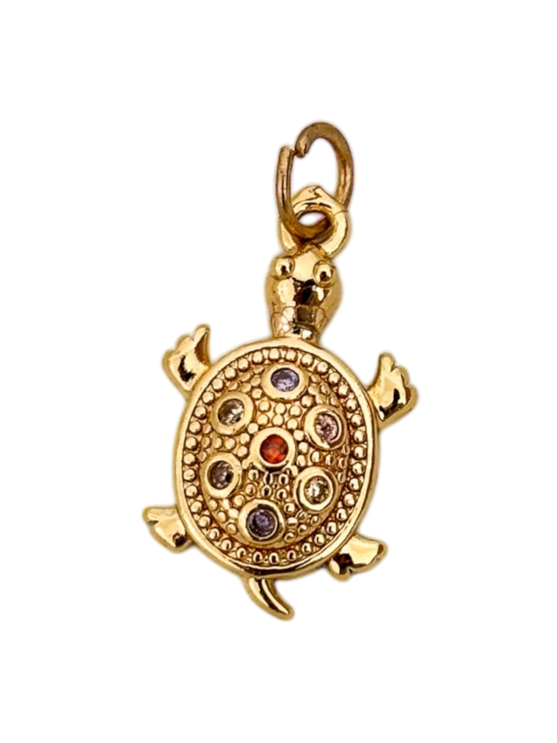 Tortuga circon