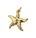 Estrella de mar chunky