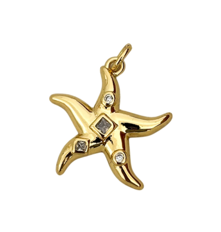 Estrella de mar chunky