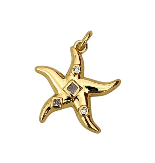 Estrella de mar chunky