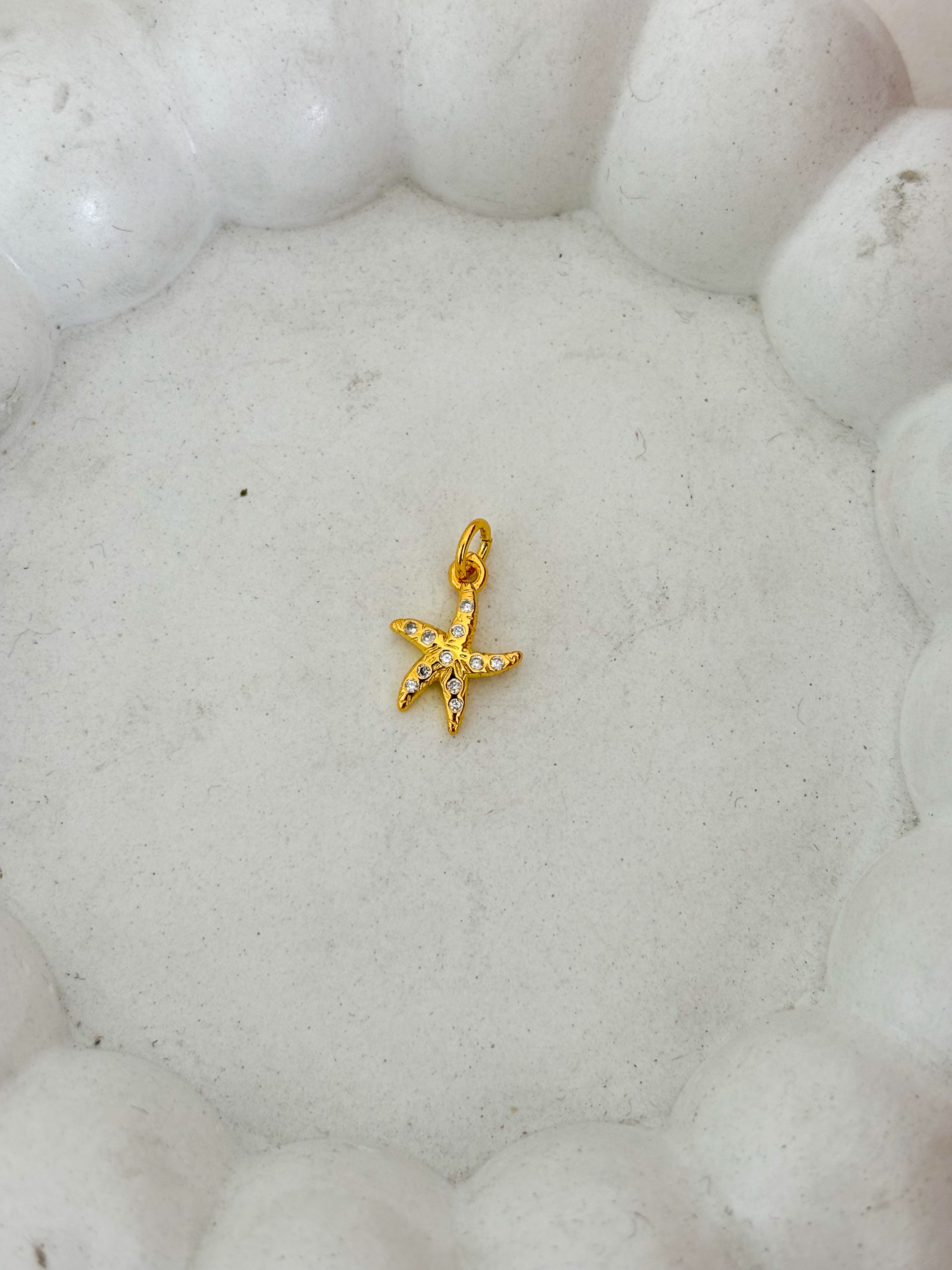Estrella de mar circon