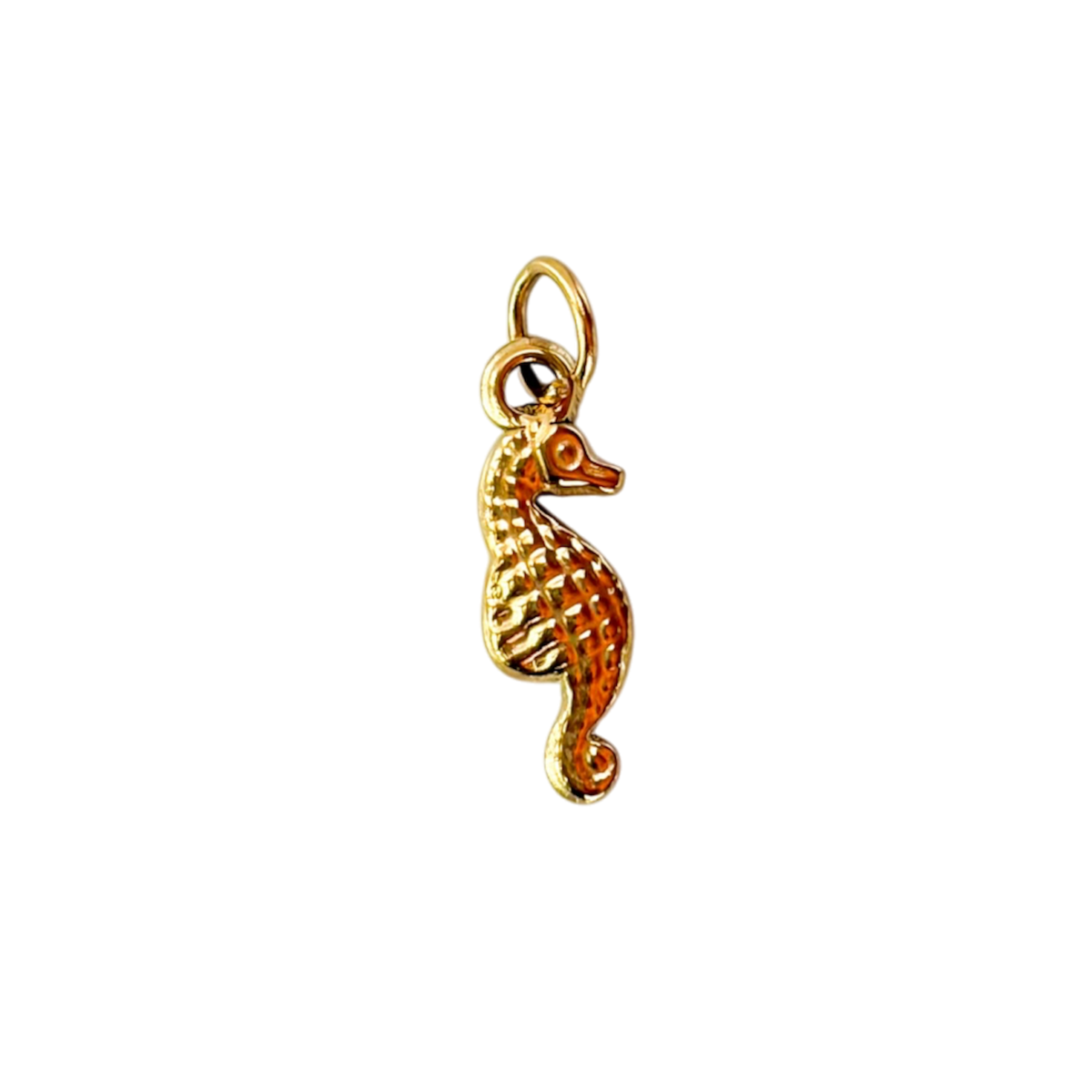 Caballito de mar mini