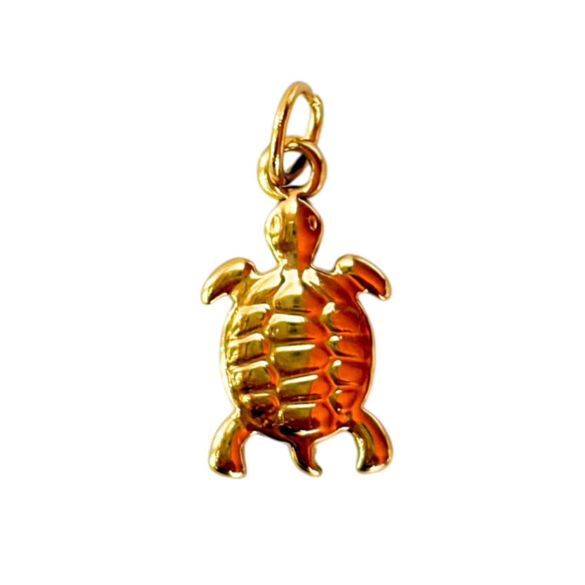 Tortuguera