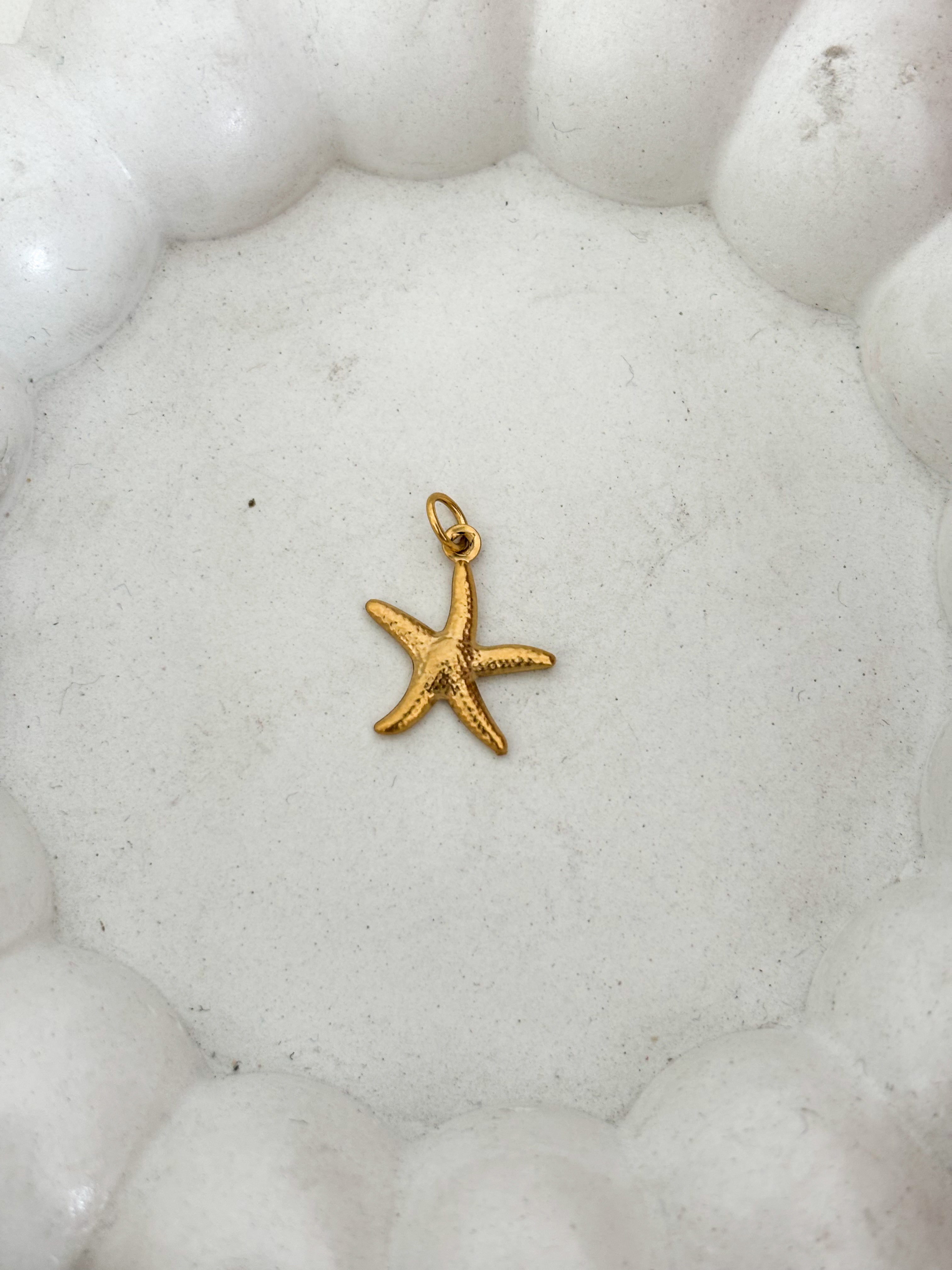 Estrella de mar