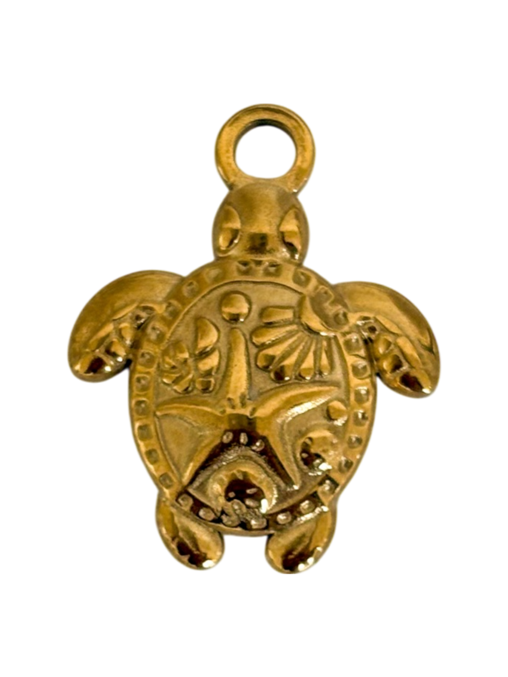 Tortuga de mar