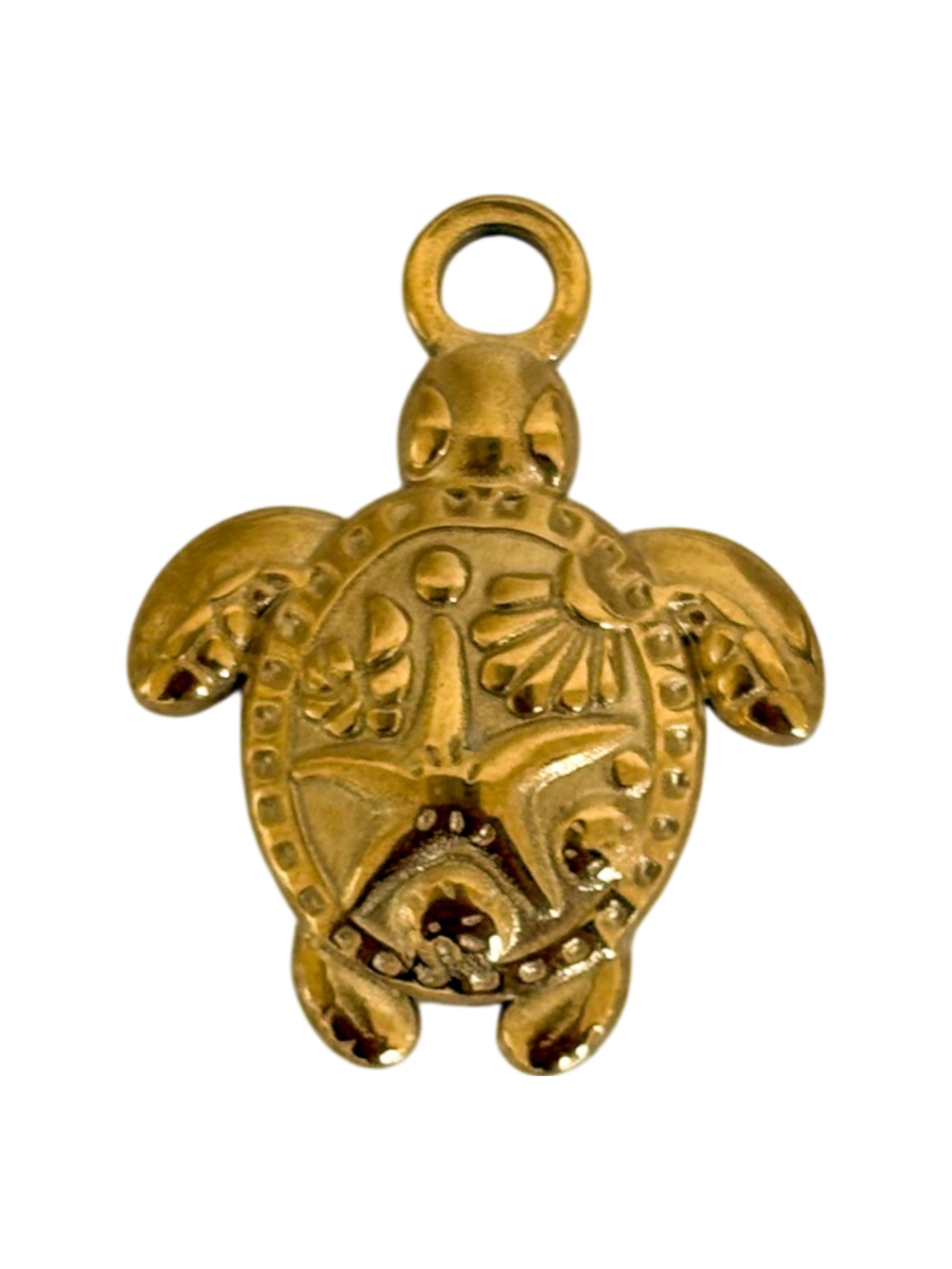 Tortuga de mar