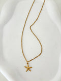 Collar estrella marina