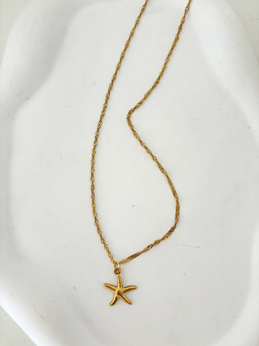 Collar estrella marina