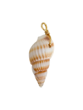 Caracol natural