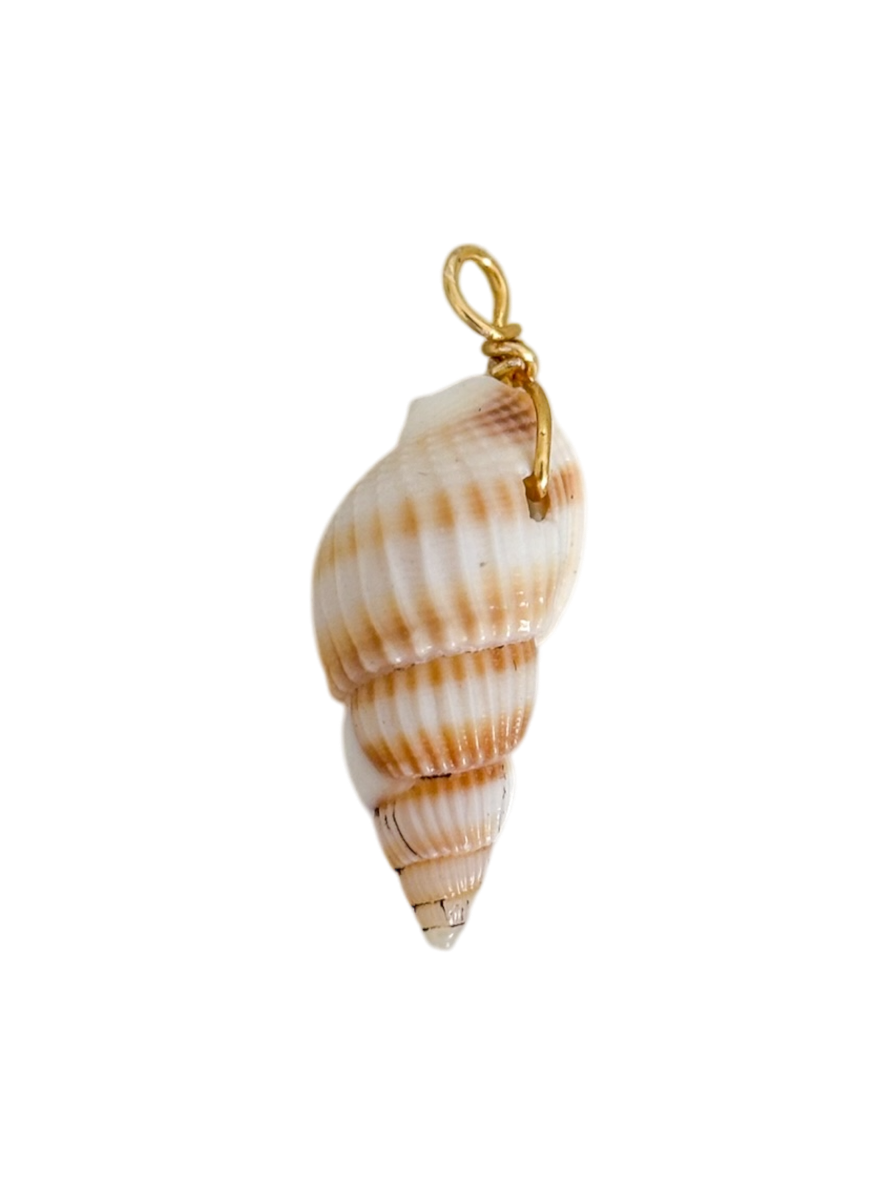 Caracol natural