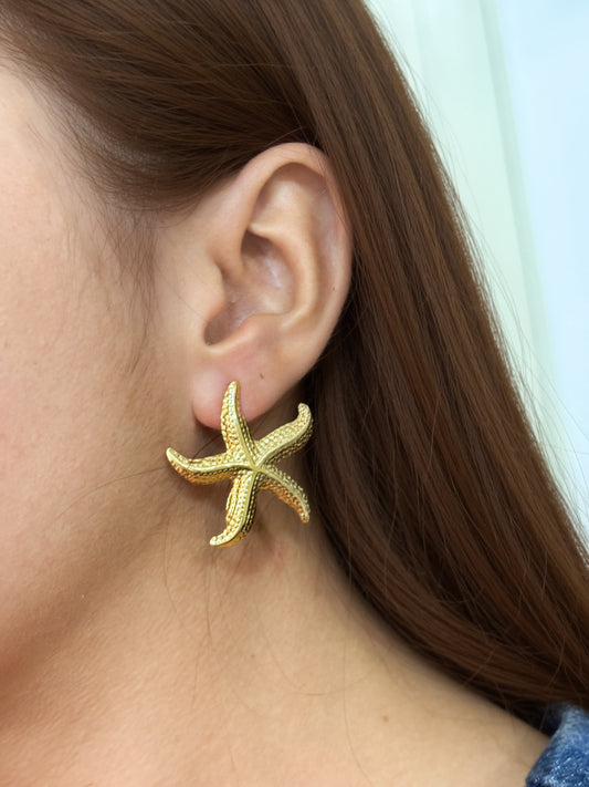 Aretes estrella de mar