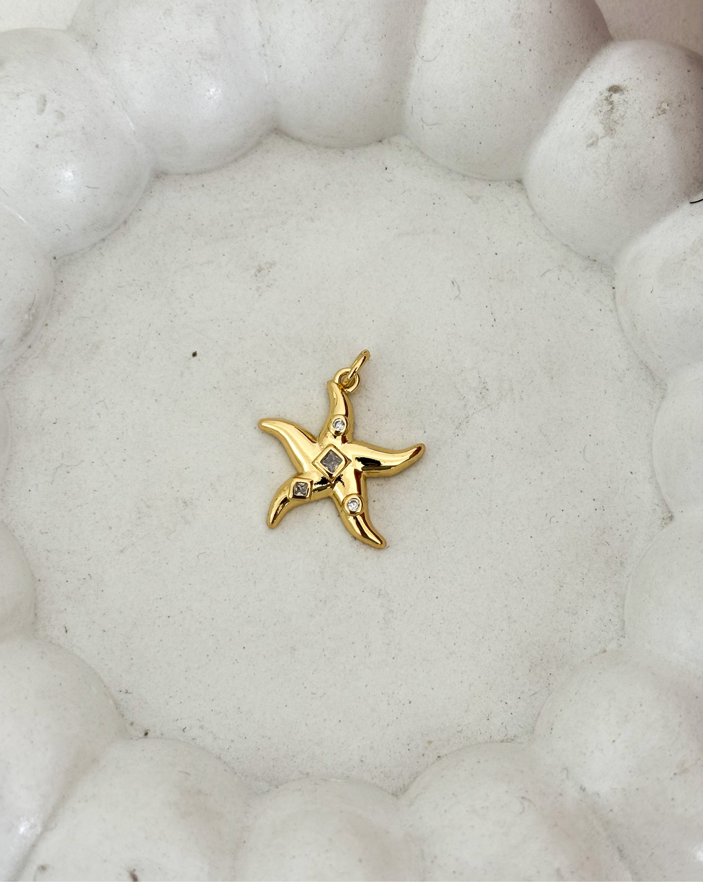 Estrella de mar chunky