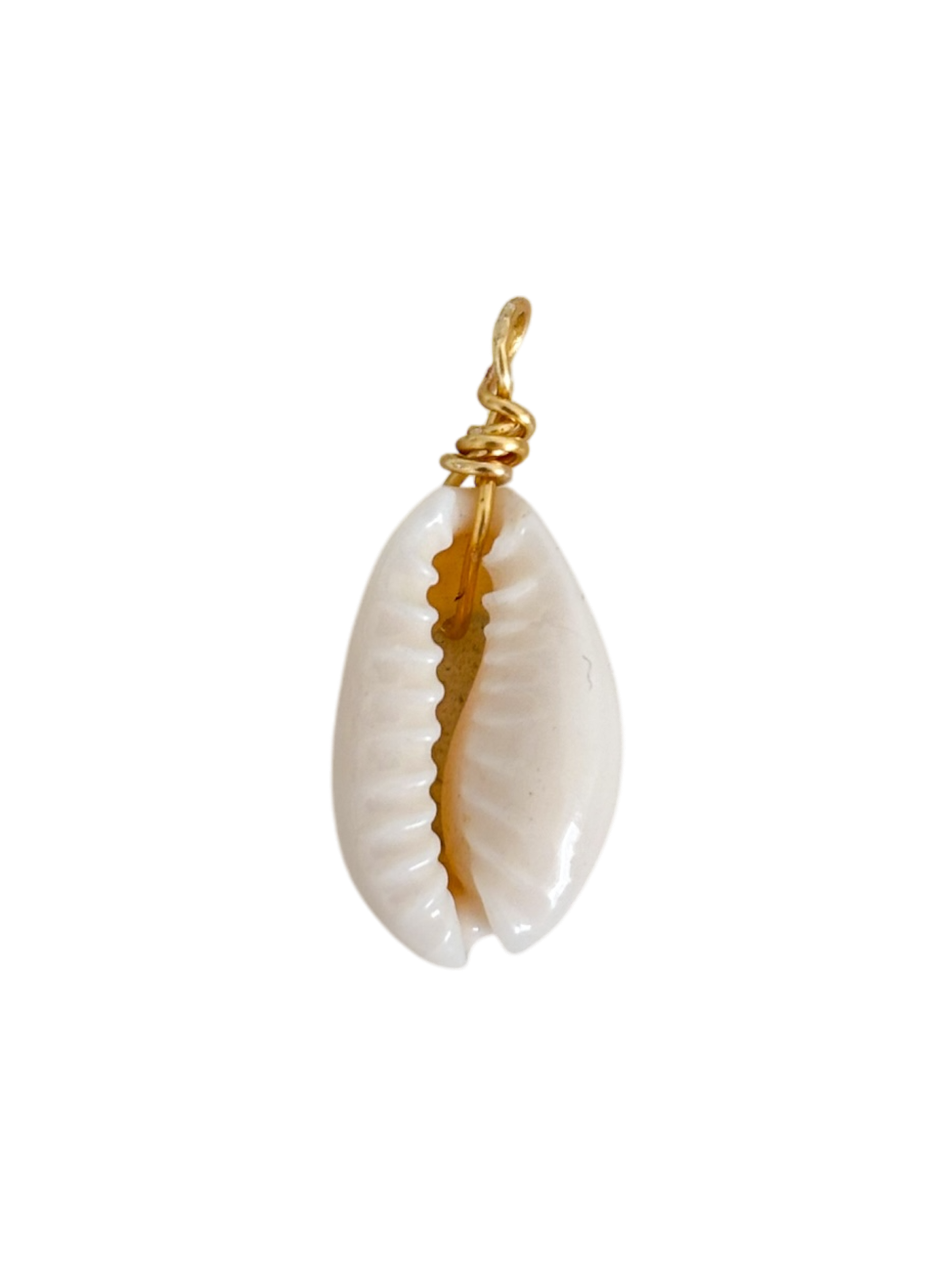 Concha de mar