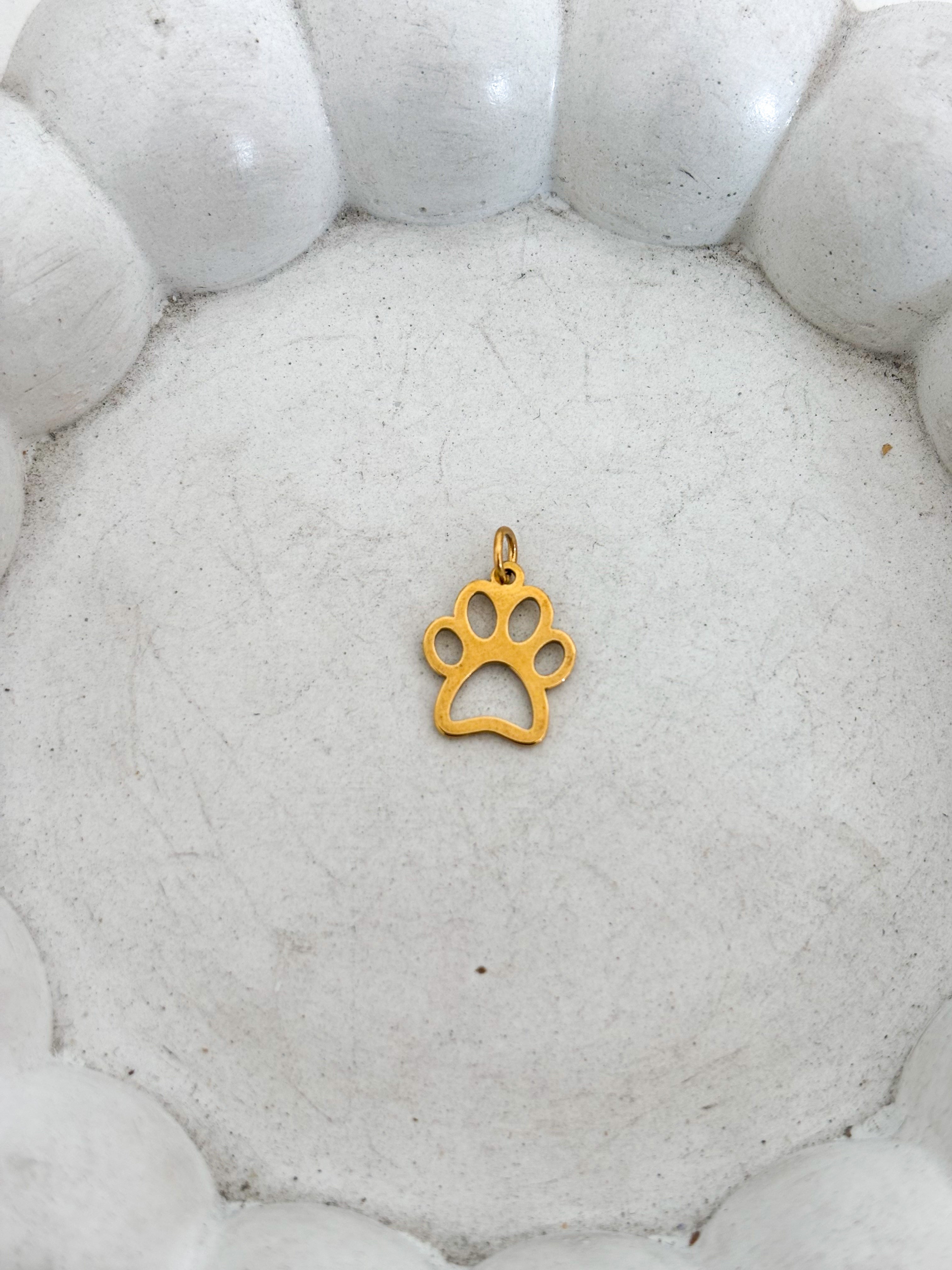Huella perrito