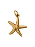 Estrella de mar
