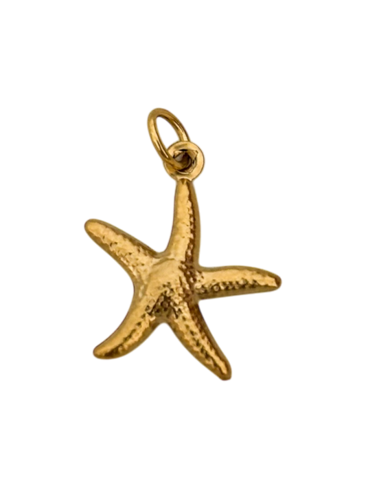 Estrella de mar