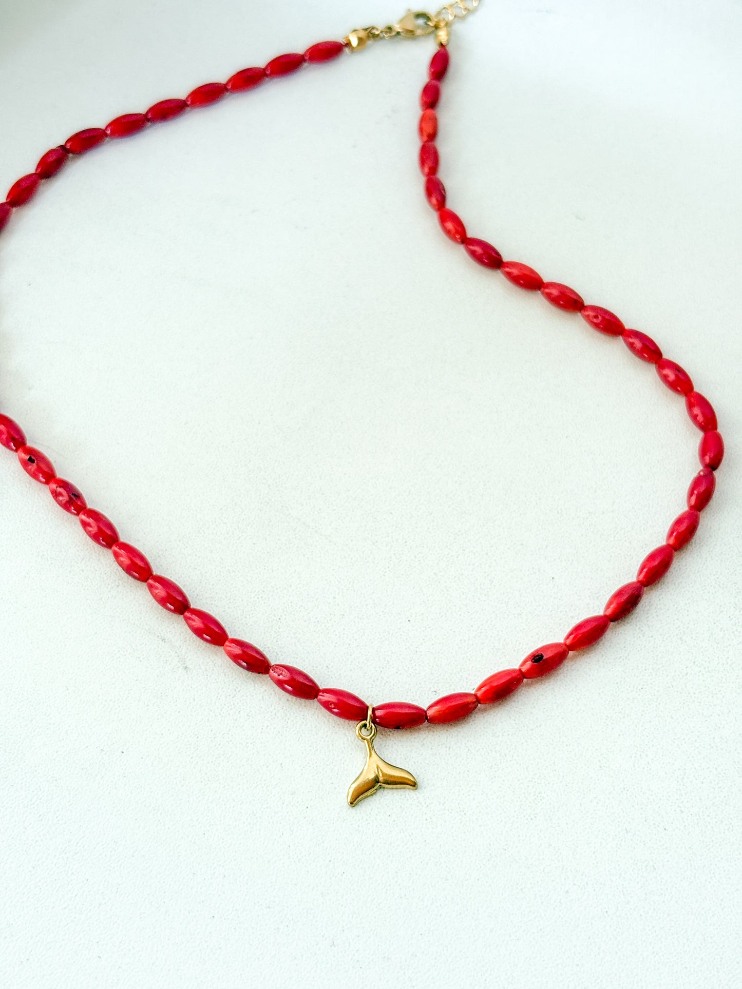 Collar coral