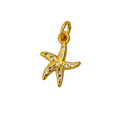 Estrella de mar circon
