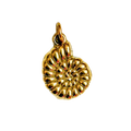 Caracol acero
