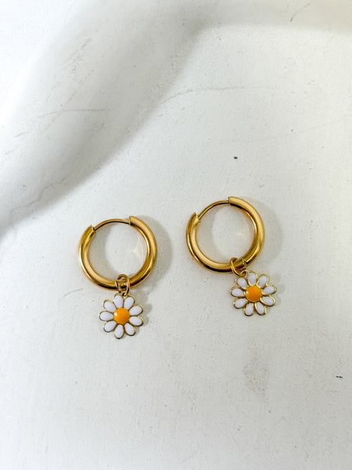 Aretes margaritas